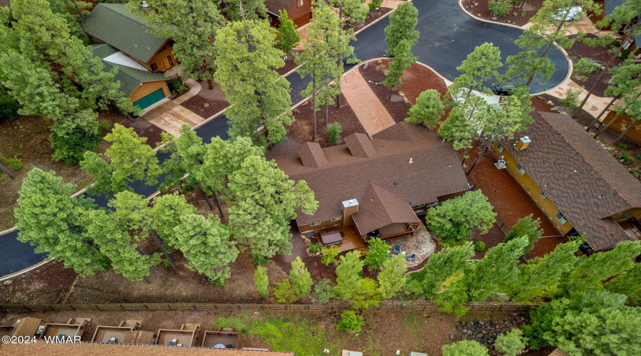 5796HiddenOakDr-Pinetop-AZ-47