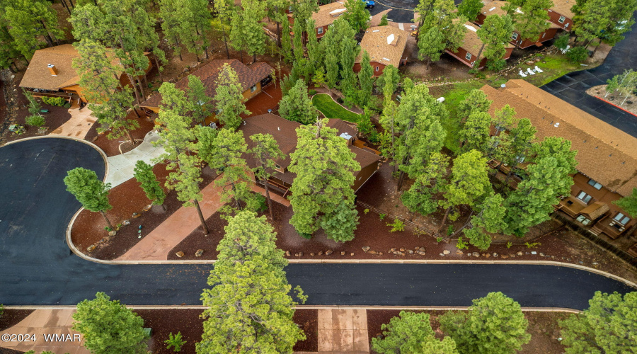 5796HiddenOakDr-Pinetop-AZ-49