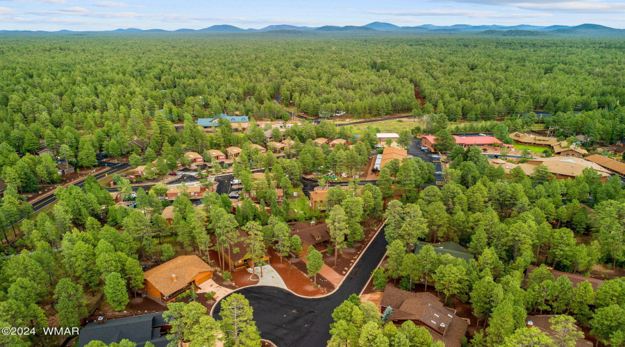 5796HiddenOakDr-Pinetop-AZ-50