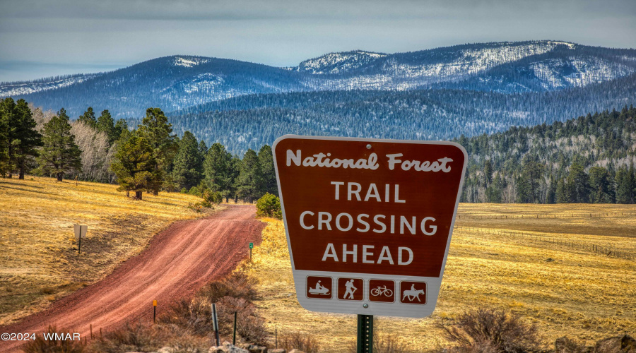 photo-mt baldy-white mo-apr22