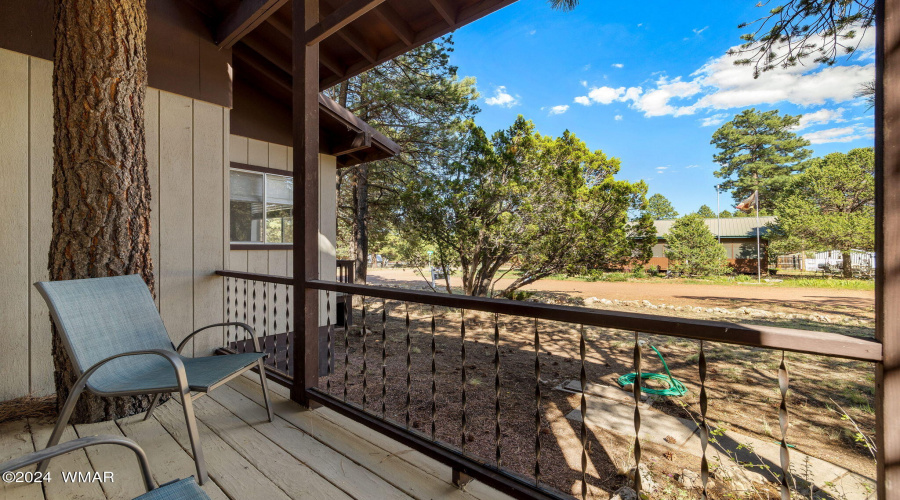 SIDE PORCH OF OWNERS BEDROOM