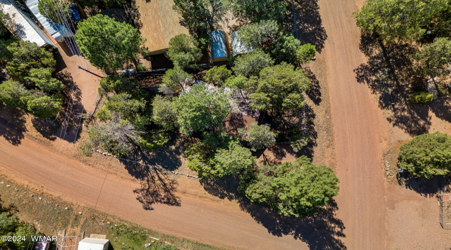 BEAUTIFUL TREES ON LOT