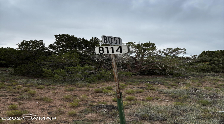 Photo Street Signs