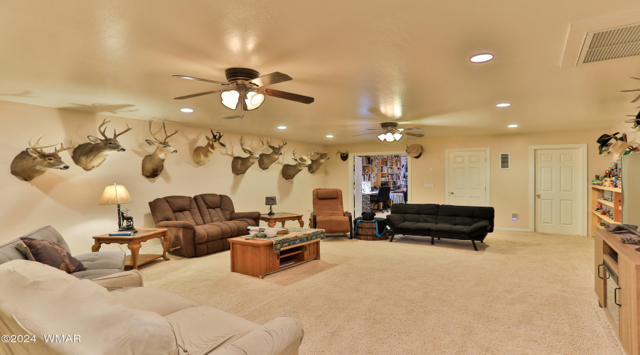 Downstairs Living Room