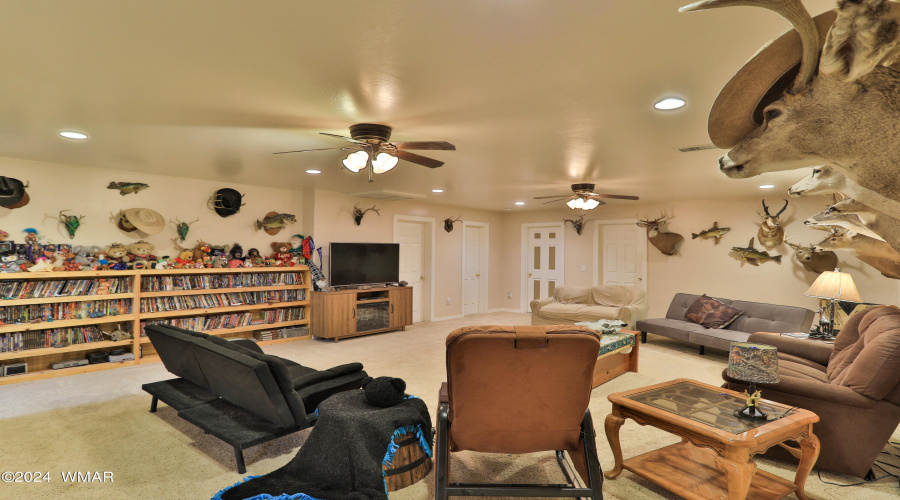 Downstairs Living Room