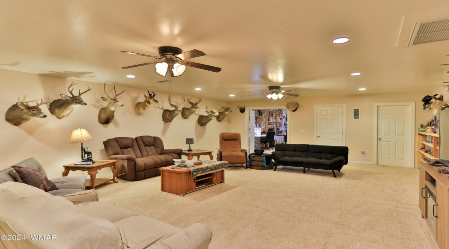 Downstairs Living Room