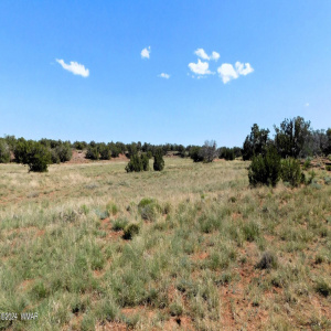 Lot 38 County Rd 8439, Concho Valley, AZ