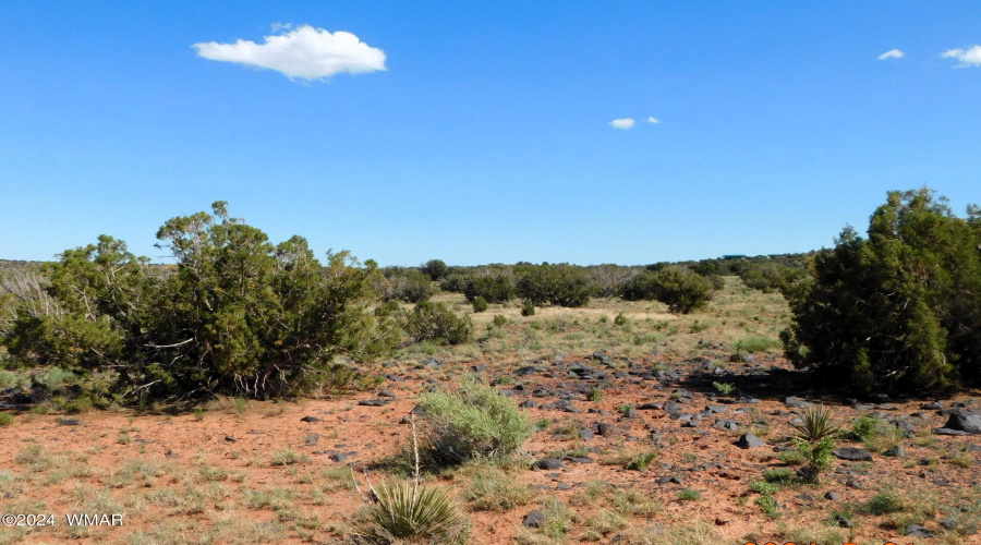 Lot 38 County Rd 8439, Concho Valley, AZ