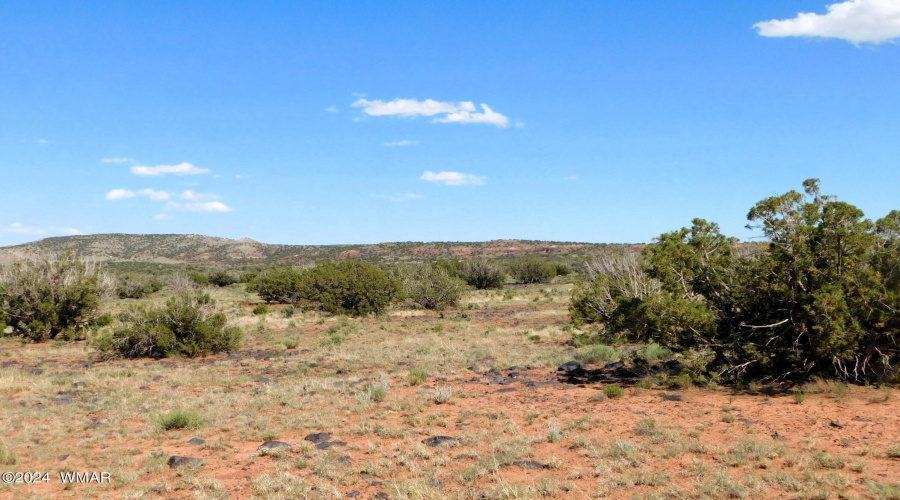 Lot 38 County Rd 8439, Concho Valley, AZ