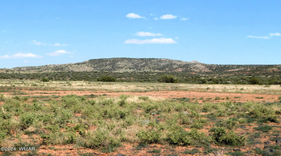 Lot 38 County Rd 8439, Concho Valley, AZ