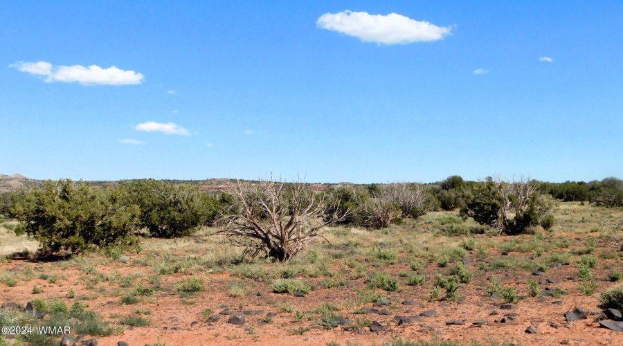 Lot 38 County Rd 8439, Concho Valley, AZ