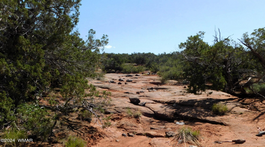 TBD County Road 8439 Concho Valley, AZ