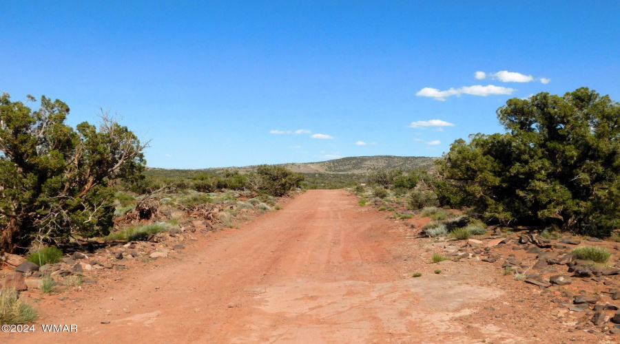 TBD County Road 8439 Concho Valley, AZ