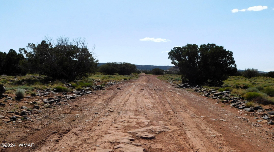 TBD County Road 8439 Concho Valley, AZ