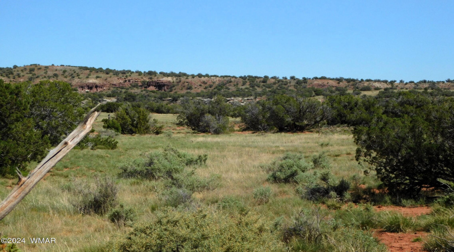 TBD County Road 8439 Concho Valley, AZ