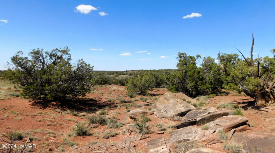 TBD County Road 8439 Concho Valley, AZ