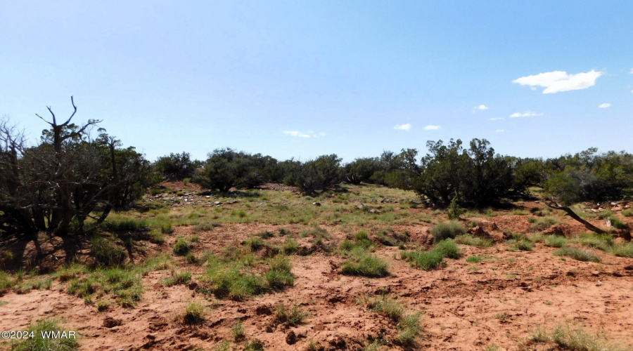 TBD County Road 8439 Concho Valley, AZ