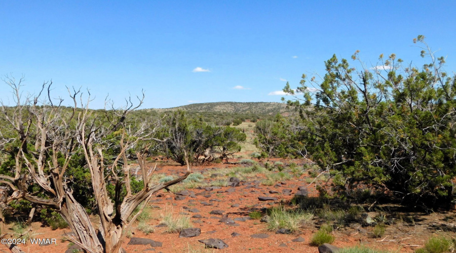 TBD County Road 8439 Concho Valley, AZ