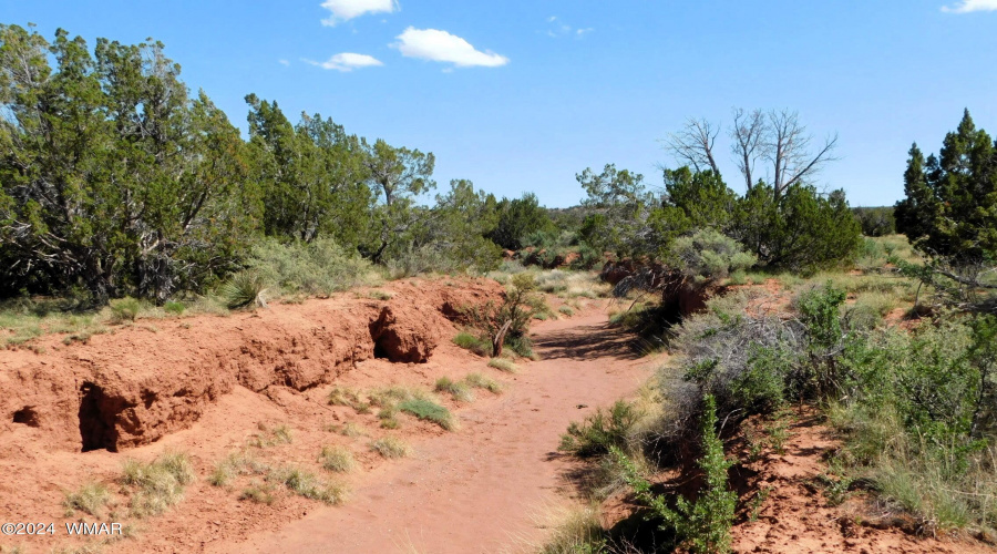 TBD County Road 8439 Concho Valley, AZ