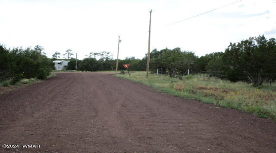 Road View