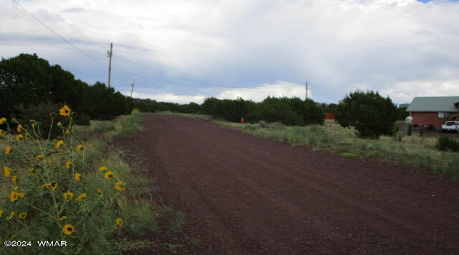 Road view