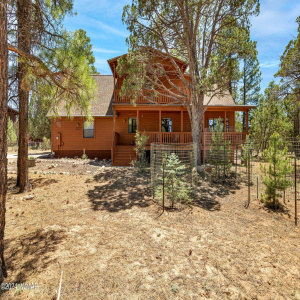 2221MountainLionLn-Overgaard-AZ-2