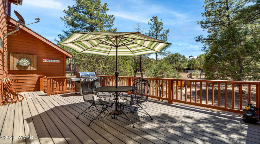 2221MountainLionLn-Overgaard-AZ-27