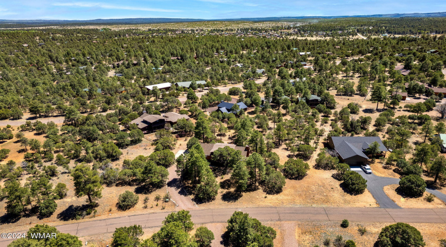 2221MountainLionLn-Overgaard-AZ-37