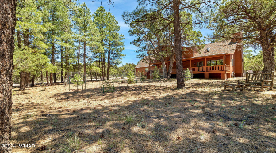 2221MountainLionLn-Overgaard-AZ-3