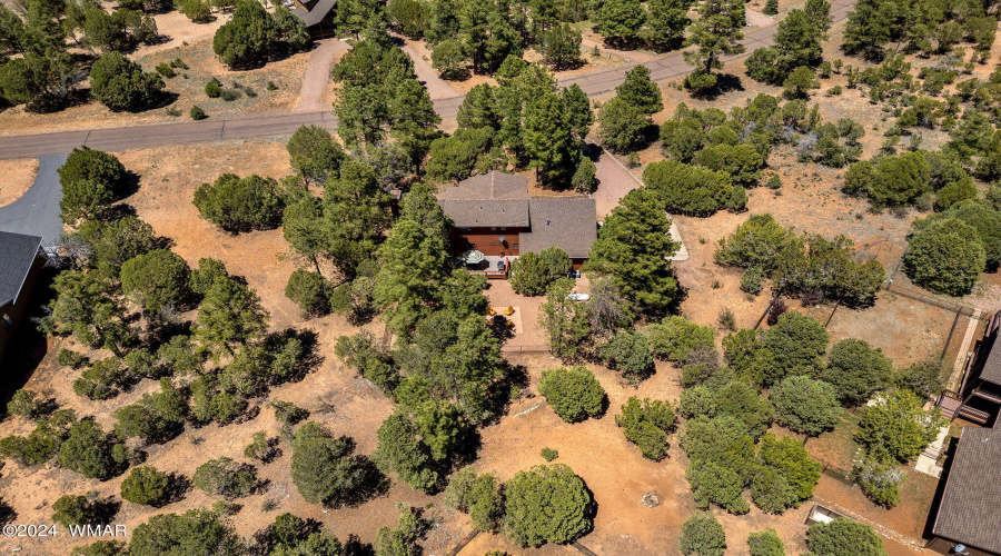 2221MountainLionLn-Overgaard-AZ-40