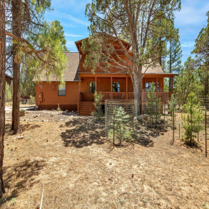 2221MountainLionLn-Overgaard-AZ-2