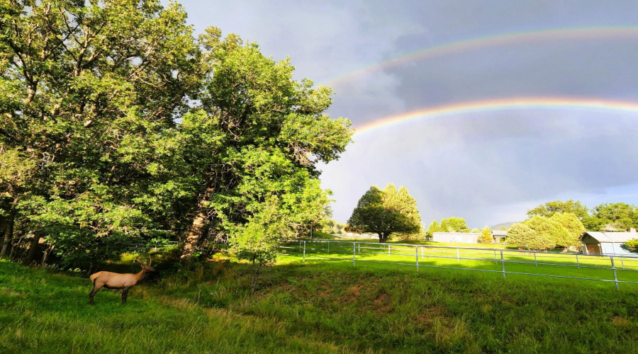 thumbnail_rainbow at the cottage enhance