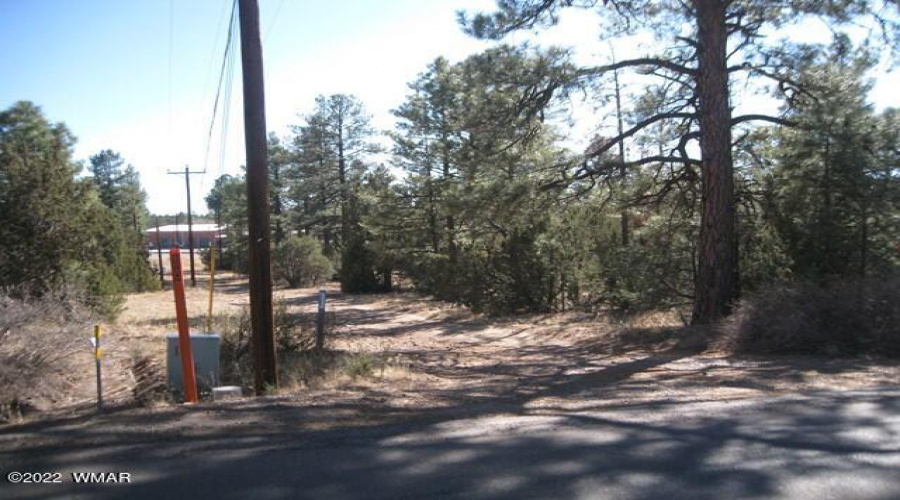 2081 Forest Park 1