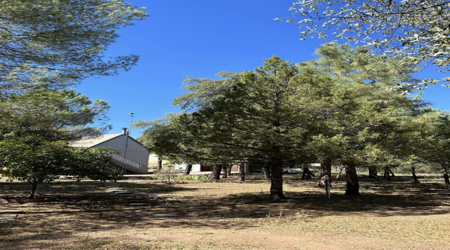 looking towards house from east side dow