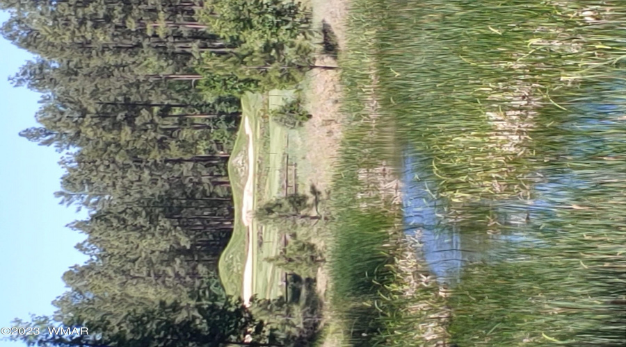 Water Feature & Greens