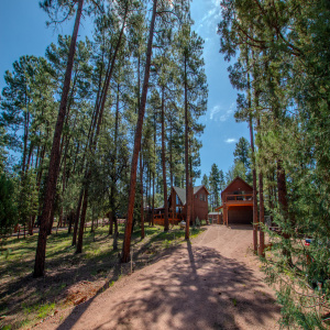 Love that driveway!