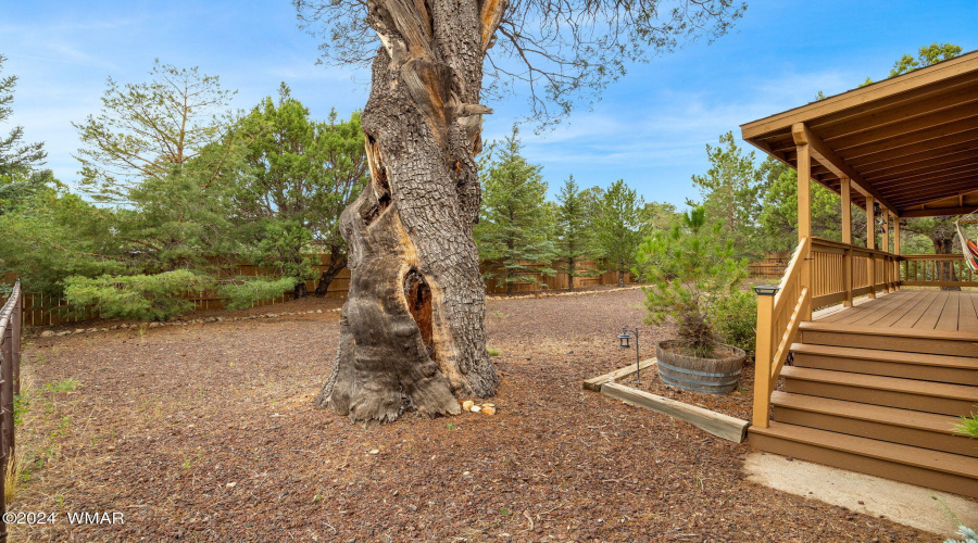 2203FourPointCir-Overgaard-AZ-31