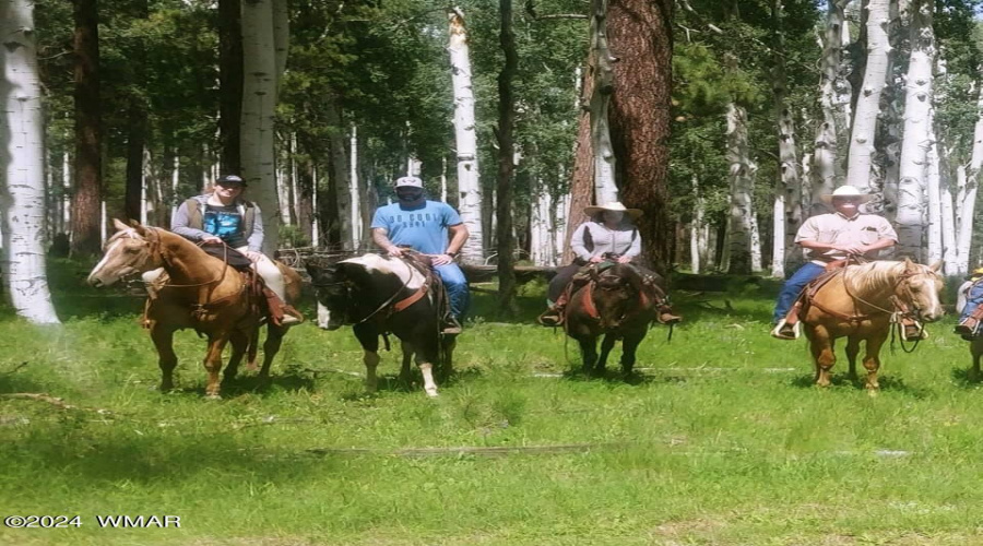 Horseback riding