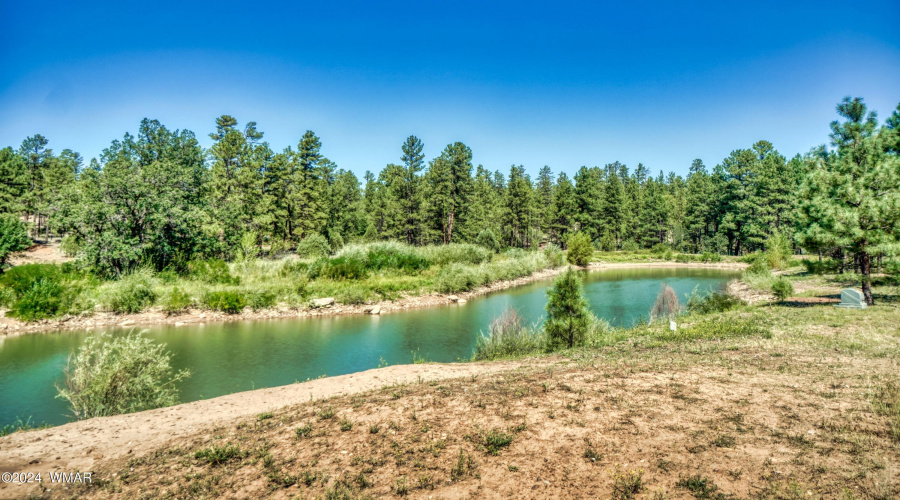 Torreon Lakes