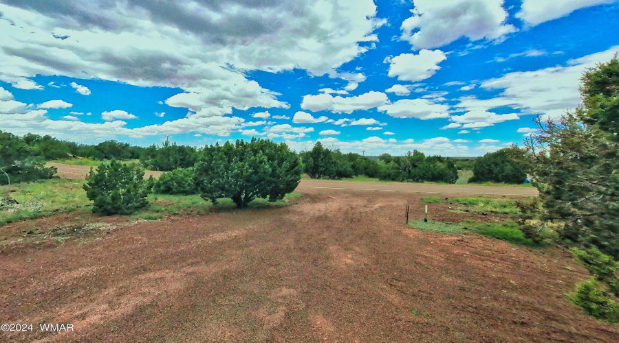 Front Driveway