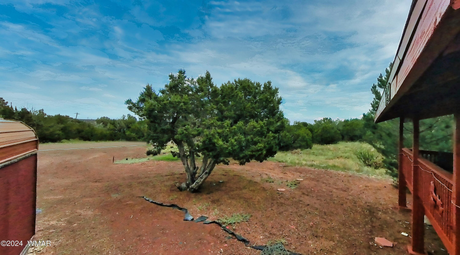 Front Driveway