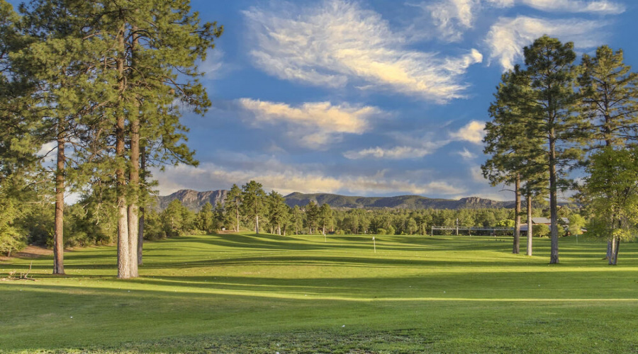 Driving range