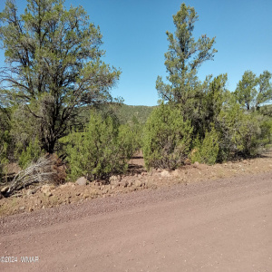 Vacant land for sale in Vernon AZ