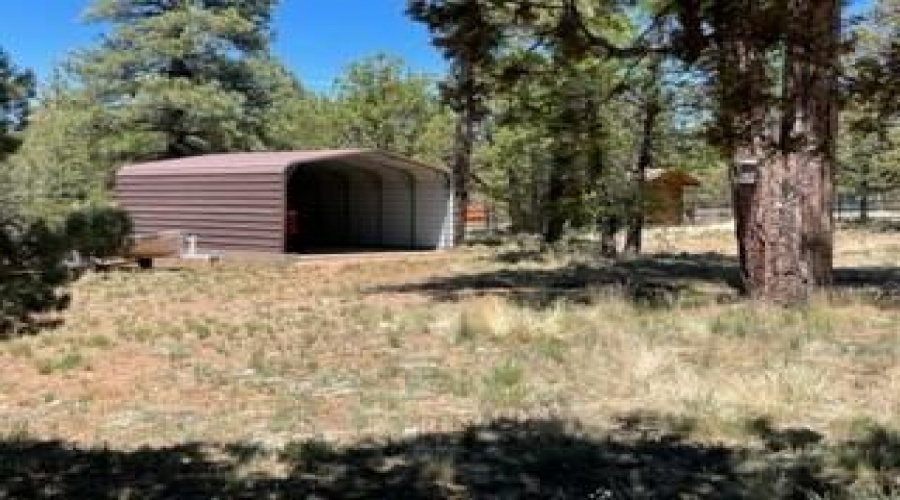 carport and garden shed