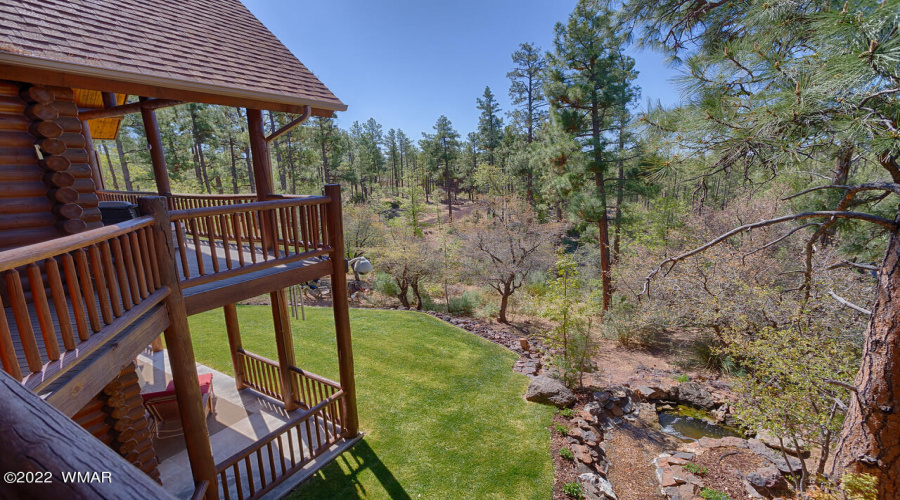 Back yard and view