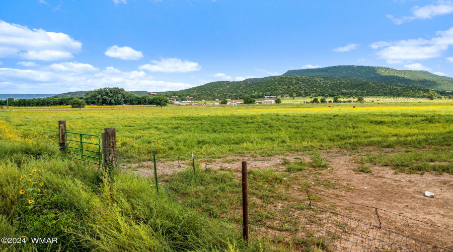 Parcel10423004B-Springerville-AZ-9