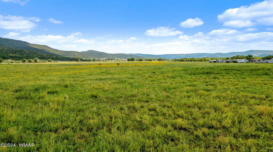 Parcel10423004B-Springerville-AZ-10