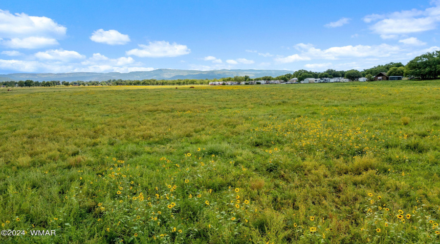 Parcel10423004B-Springerville-AZ-11