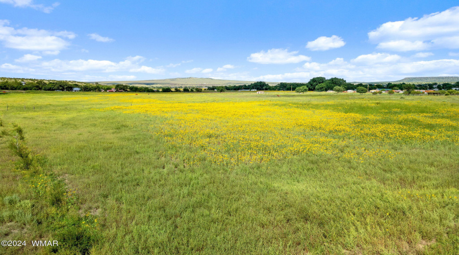 Parcel10423004B-Springerville-AZ-8