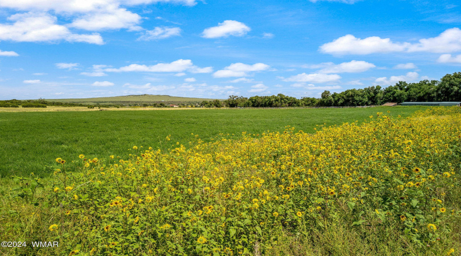 Parcel10407016-Eagar-AZ-13